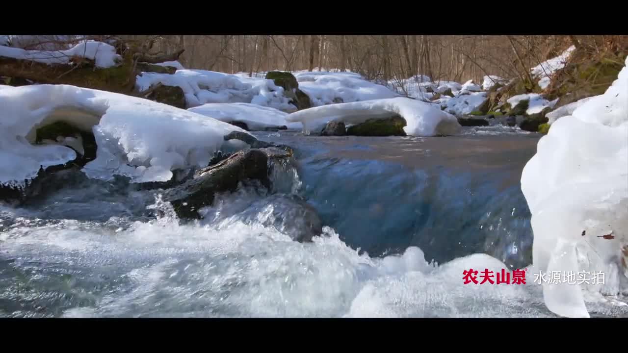 农夫山泉史上最美广告片《等一只鹿》