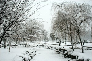 冰天雪地 雪景摄影技巧大全