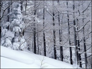 冰天雪地 雪景摄影技巧大全