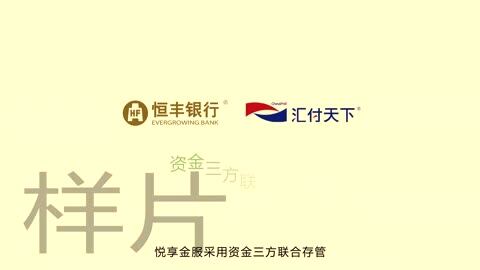 安徽悦享互联网金融信息服务企业宣传片