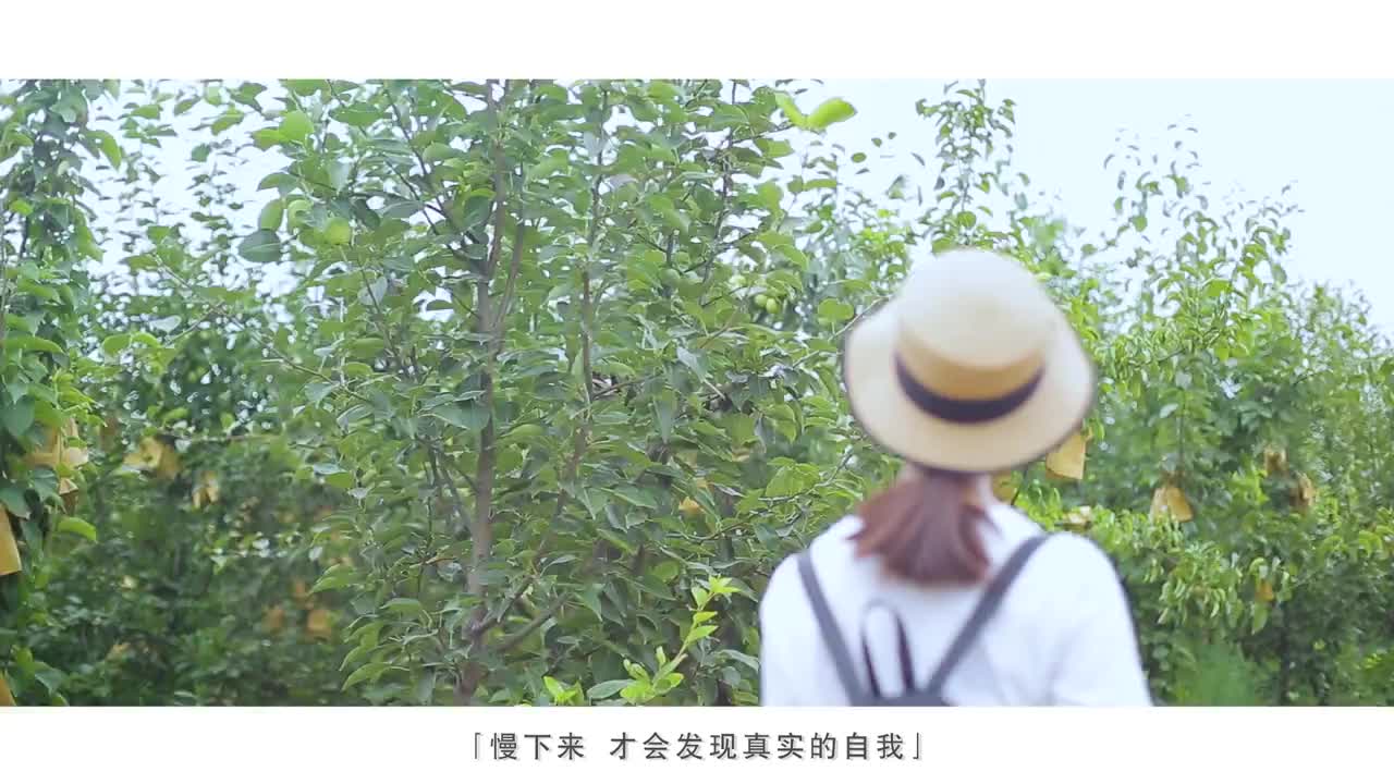 封丘城市宣传片《时光在左，你在右》