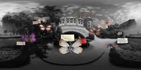 纳博科夫的蝴蝶 纪录片《 保质期360》