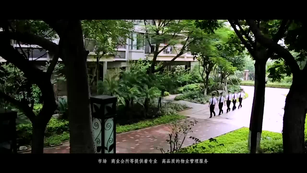 泰发集团宣传片